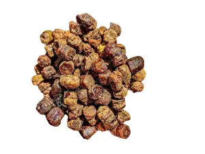 Immunity Prints: bee bread - pastura - isolated on white background