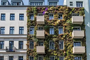 Stock Photos Prints: Begrünte Fassade in der Pannierstrasse in Berlin-Neukölln