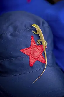 Gecko Prints: Beige cap with red Soviet star and gecko (Gekkonidae) and Ernesto Che Guevara sticker