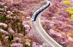 Great Wall Prints: Beijing-Zhang Railway in Beijing, China, train for spring