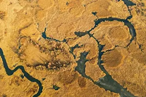 Belarus. Aerial View Of Dry Grass And Partly Frozen Curved River Landscape In Late Autumn Day. High Attitude View. Marsh Bog. Drone View. Bird's Eye V