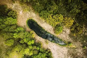 Belarus. Aerial View Of Dry Grass And Small Bog Marsh Swamp Wetland Landscape In Spring Day. High Attitude View. Marsh Bog. Bird's Eye View