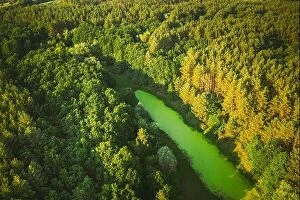 Aerial Landscape Collection: Belarus. Elevated View Of Green Small Bog Marsh Swamp Wetland And Green Forest Landscape In Sunny