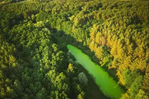 Russian Nature Prints: Belarus. Elevated View Of Green Small Bog Marsh Swamp Wetland And Green Forest Landscape In Sunny Summer Day