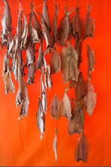 Benelux Prints: Belgium, West Flanders province, Ostend, seller of smoked and dried fish