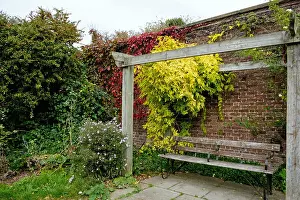 Brick Wall Prints: A bench under a pergola at Brockwell Park