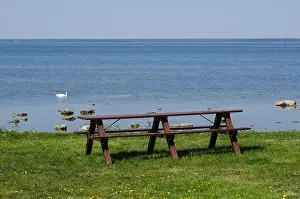 Swan Prints: Benches and table by the waterfront with calm and blue water at spring