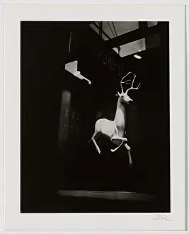 1947 Prints: Berenice Abbott, An Industrial Designer's Window