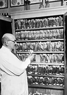 Occupations Prints: Berlin, Germany: c. 1929 The most modern methods and equipment are used for the germ research being done at Dr