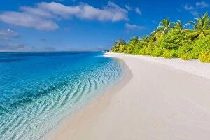 Images Dated 11th January 2017: Best tropical beach landscape. Fantastic summer coast, vacation destination, palm trees