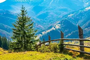 Bewitching Prints: Bewitching beautiful summer landscape of a green meadow on a hill overlooking a dense coniferous forest