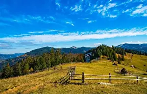 Bewitching Prints: Bewitching beautiful summer landscape of a green meadow on a hill overlooking a dense coniferous forest