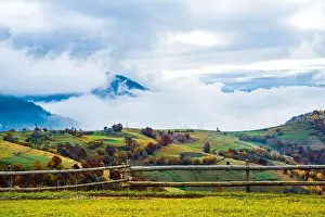 Bewitching Prints: Bewitching beautiful summer landscape of a green meadow on a hill overlooking a dense coniferous forest
