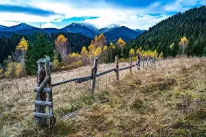 Bewitching Prints: Bewitching beautiful summer landscape of a green meadow on a hill overlooking a dense coniferous forest