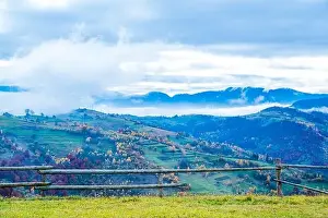 Bewitching Prints: Bewitching beautiful summer landscape of a green meadow on a hill overlooking a dense coniferous forest