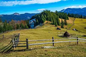 Bewitching beautiful summer landscape of a green meadow on a hill overlooking a dense coniferous forest