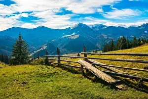 Bewitching beautiful summer landscape of a green meadow on a hill overlooking a dense coniferous forest