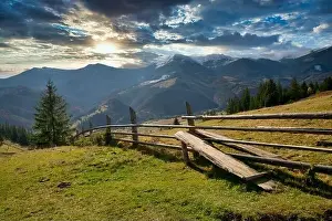 Bewitching Prints: Bewitching beautiful summer landscape of a green meadow on a hill overlooking a dense coniferous forest