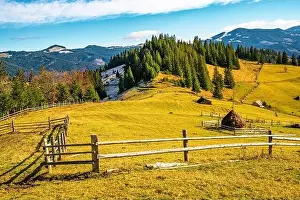 European Alps Prints: Bewitching beautiful summer landscape of a green meadow on a hill overlooking a dense coniferous forest