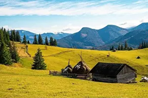 Bewitching Prints: Bewitching beautiful summer landscape of a green meadow on a hill overlooking a dense coniferous forest