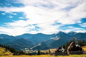 Bewitching beautiful summer landscape of green meadows