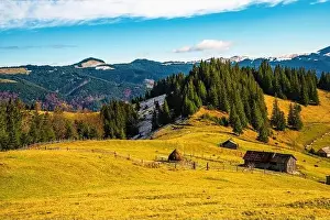 European Alps Prints: Bewitching beautiful summer landscape of green meadows