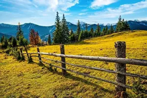 Bewitching Prints: Bewitching beautiful summer landscape of green meadows