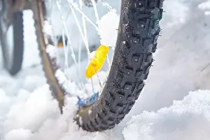 Offroad Prints: Bicycle wheel with spikes in winter in the snow close-up