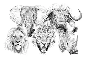 Big Five Prints: Big african five animal. Hand drawn illustration