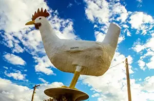 Things Prints: The Big Chook at Moonbi on the New England Highway near Tamworth, NSW, Australia