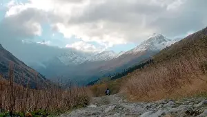 Mountain Top Prints: Big high mountains. Creative. Huge hills covered with snow and overgrown with green fir trees and pine trees around