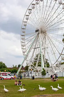 Geese Prints: The big wheel ferris wheel in the riverside parkland on the banks of the river Avon at Stratford upon Avon Warwickshire