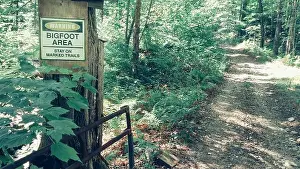 Bigfoot Prints: Bigfoot Area Warning Sign in a Remote Forest