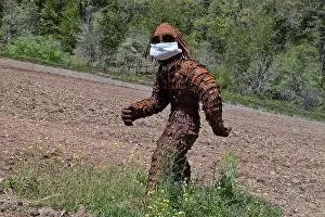 Alive Prints: Bigfoot wearing COVID-19 antivirus mask
