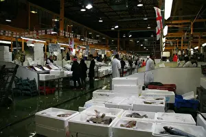 Shellfish Prints: Billingsgate Fish Market