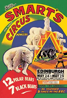 Billy Smart's New World Circus and Menagerie: 12 Polar Bears, 7 Black Bears
