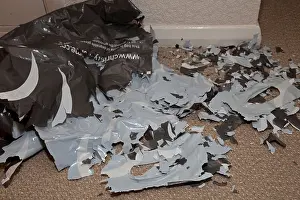 Breaking Prints: Biodegradable plastic carrier bag breaking into pieces UK