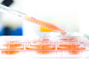 Glassware Prints: Biological research