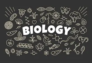 Chromosome Prints: Biology background with signs and symbols on school board