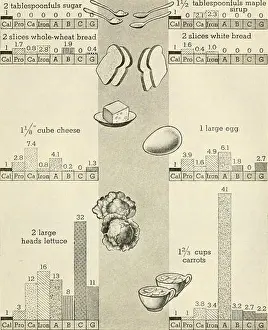 Booksubjectbiology Prints: Biology and man. Biology; Human beings