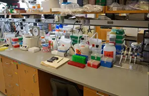 Biotechnology Prints: Biotechnology research lab, MIT