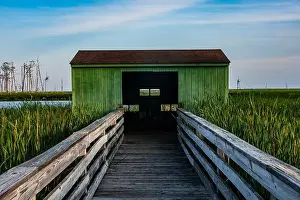 Cattails Prints: Bird Blind, Blackwater National Wildlife Refuge, Maryland USA
