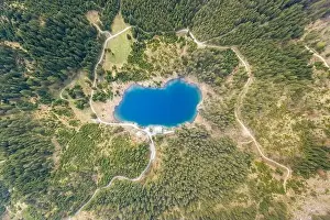 Green Spring Prints: top bird eye view to lake Frauensee surrounded by forest trees at Austria in spring