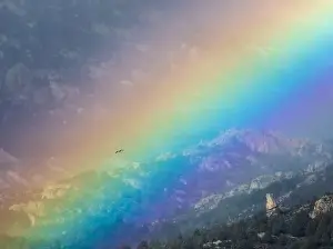 Sky Mountain Prints: Bird flying through vivid rainbow on cloudy sky over mountain ridge