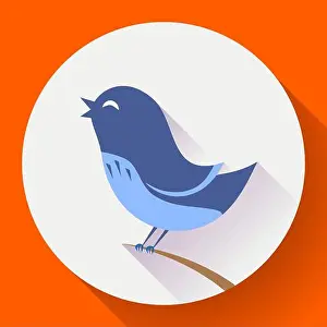 Bird singing vector icon. Flat design style