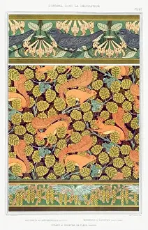 Public Domain Prints: Bird-Squirrel / Illustration from L'animal dans la decoration (1897) by Maurice Pillard Verneuil