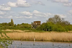 Spotting Prints: Bird watching hide set amongst protected landscape Attenborough Nature Reserve Nottingham Nottinghamshire east Midlands