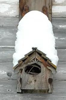 Birdhouse Prints: Birdhouse with snow covered roof