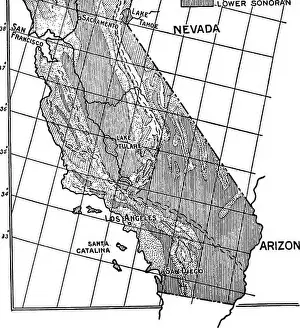 Birds of California; an introduction to more than three hundred common birds of the state and adjacent islands