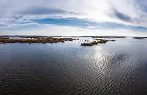 Bird's-eye view of the beautiful Samarskie Plavni in the warm evening light in Ukraine. Aerial panoramic drone shot